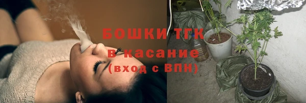 крисы Горно-Алтайск